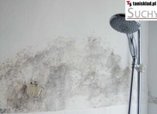 https://tanisklad.pl/osuszanie-muru/10-suchy-dom-professional-5l-srodek-do-osuszania-muru.html
