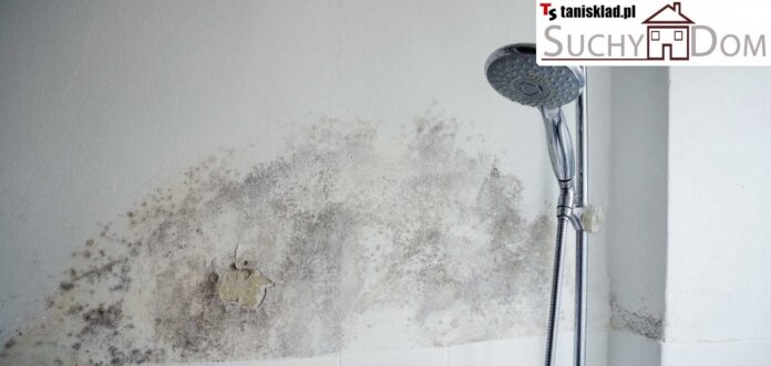 https://tanisklad.pl/osuszanie-muru/10-suchy-dom-professional-5l-srodek-do-osuszania-muru.html