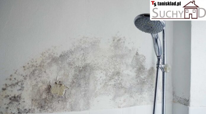 https://tanisklad.pl/osuszanie-muru/10-suchy-dom-professional-5l-srodek-do-osuszania-muru.html