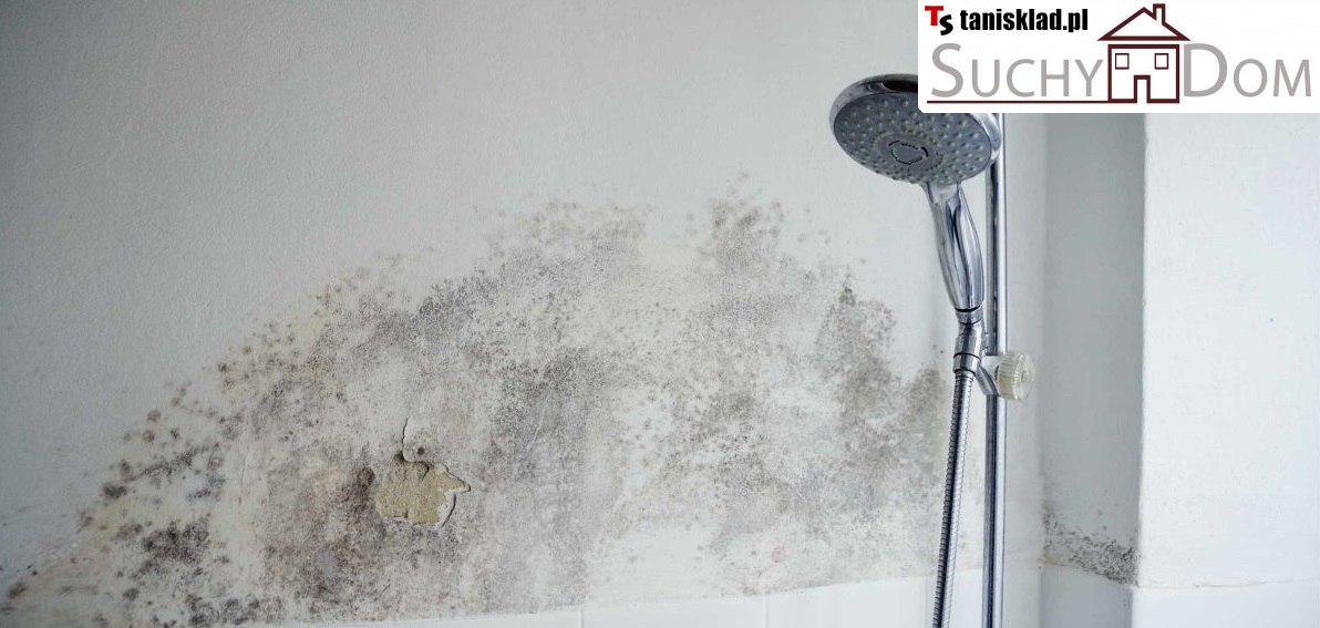 https://tanisklad.pl/osuszanie-muru/10-suchy-dom-professional-5l-srodek-do-osuszania-muru.html